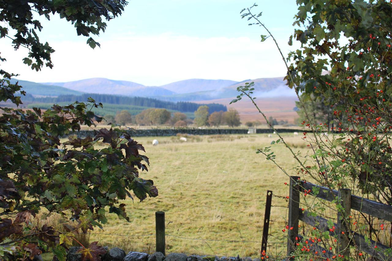 The Knowe B&B Carsphairn Buitenkant foto
